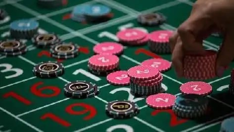 pingol bet